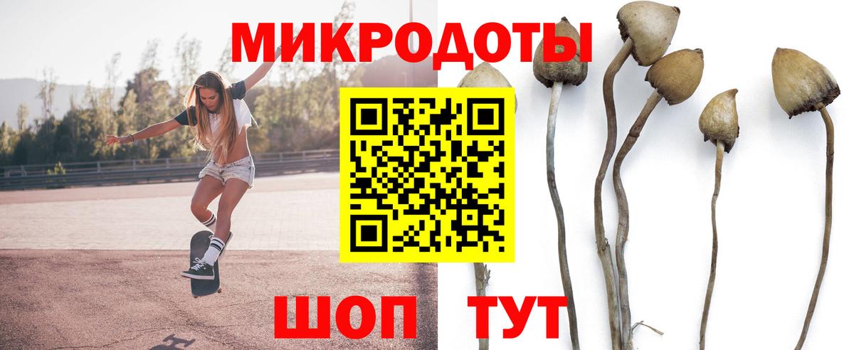 Галлюциногенные грибы Cubensis Иваново